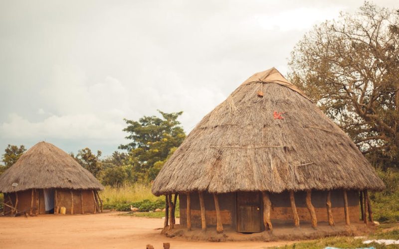 Revolutionizing Green Architecture: Quorve and Flayrath